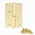 Петля Avers 100*70*2,5-B-G-L